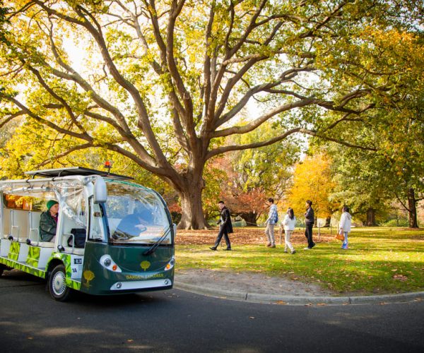 Melbourne: Melbourne Gardens Explorer Minibus Tour – Melbourne, Australia