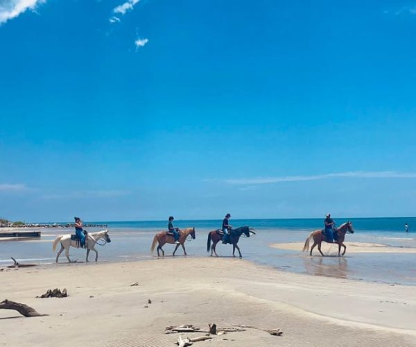 Miami: Beach Horse Ride & Nature Trail – Miami, Florida