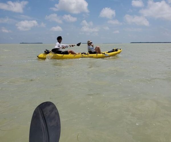 Miami: Everglades National Park Hiking and Kayaking Day Trip – Miami, Florida