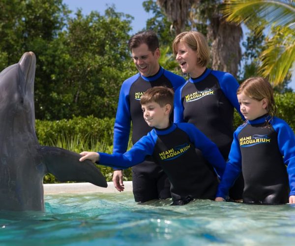 Miami: Seaquarium Entrance Ticket with Dolphin Encounter – Miami, Florida