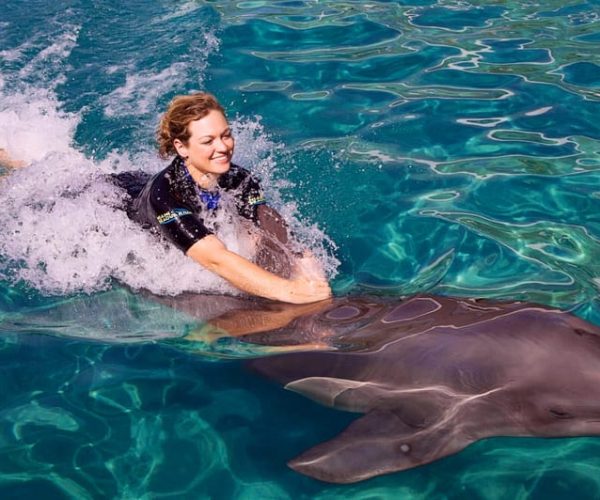 Miami: Swim with Dolphins Experience with Seaquarium Entry – Miami, Florida