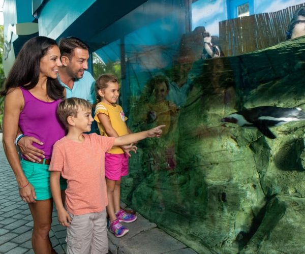 Miami: The Miami Seaquarium Park Admission Ticket – Miami, Florida