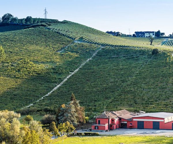 Monferrato: Wine Tour & Picnic in the Vineyards – Piedmont, Italy