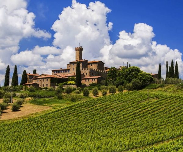 Montalcino Truffle and Wine Tasting Day Tour from Rome – Rome, Italy