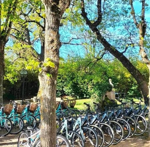 Monteux: Bike Rental – Provence-Alpes-Côte d’Azur, France