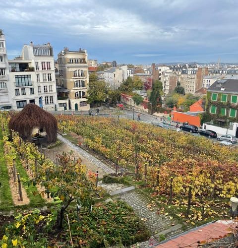 Montmartre : The Wine Maker’s Rally – Ile-de-France, France