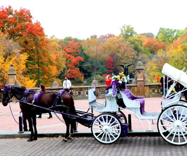 NYC: Central Park Horse-Drawn Carriage Ride (up to 4 Adults) – New York City, New York