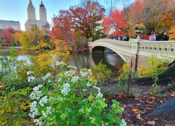 NYC: Central Park Secrets and Highlights Walking Tour – New York City, New York