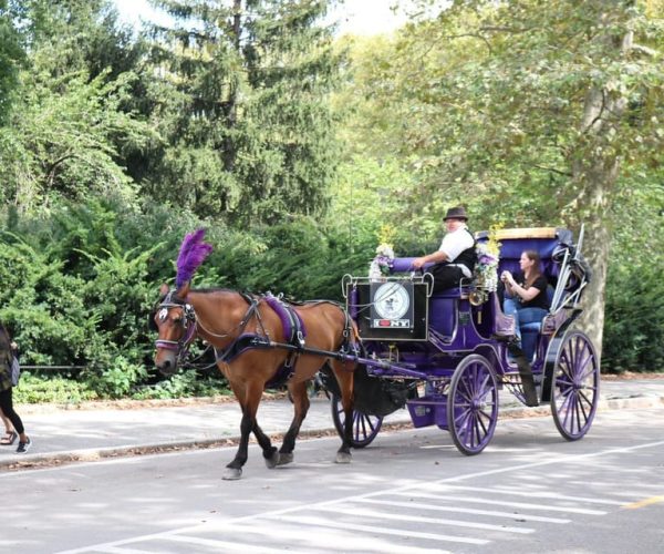 NYC Horse Carriage Ride in Central Park (65 min) – New York City, New York