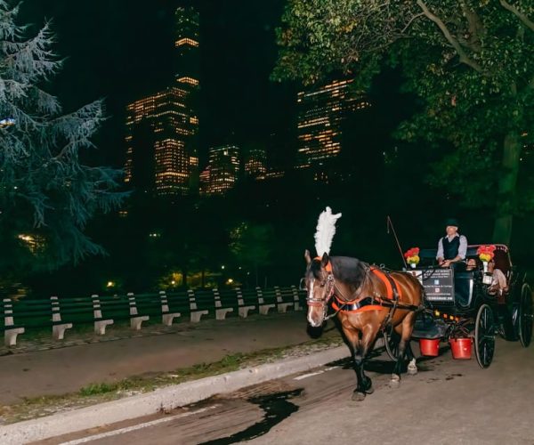 NYC MOONLIGHT HORSE CARRIAGE RIDE through Central Park – New York City, New York