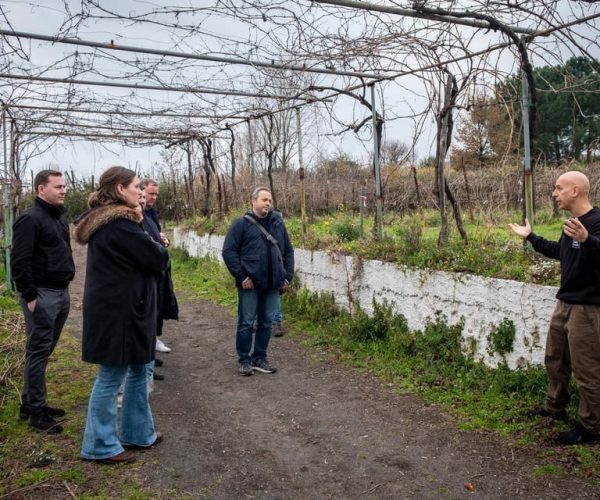 Naples: Walk-Through-Vineyards Private Tour – Naples, Italy