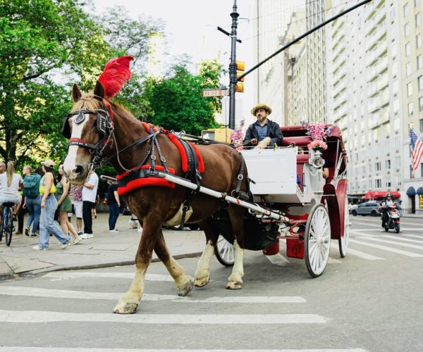 New York City: Central Park Private Horse and Carriage Tour – New York City, New York