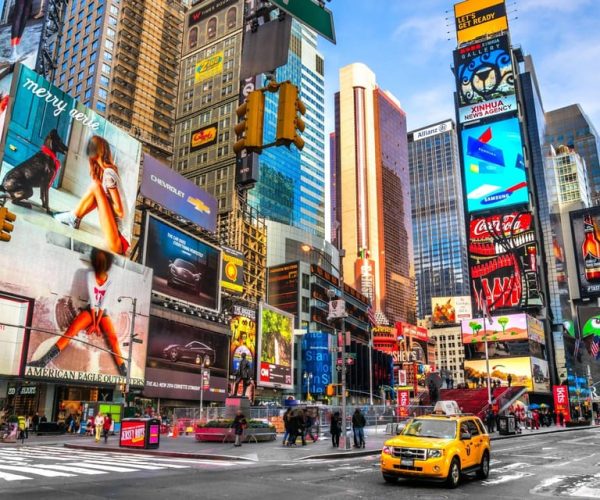 New York City Highlights Private Walking Tour – New York City, New York