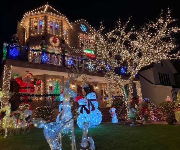 New York: French Magical Christmas Lights Tour in Brooklyn – New York City, New York