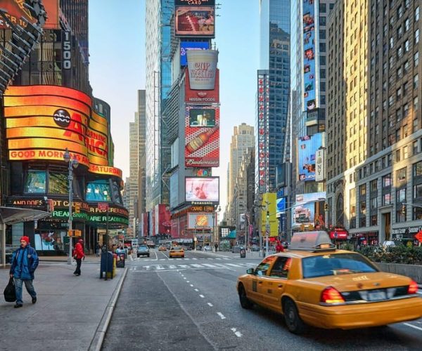 New York: Private Tour of Iconic Landmarks by Car – New York City, New York