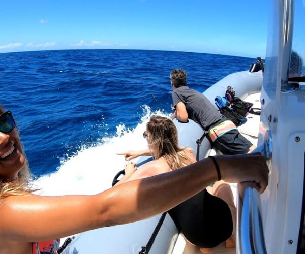 Oahu: Private Whale Watching Adventure – Honolulu, Hawaii