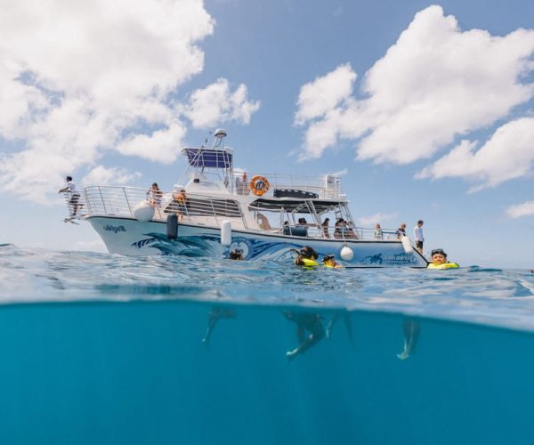 Oahu: Turtle Canyon Snorkeling & Hula Dance – Honolulu, Hawaii