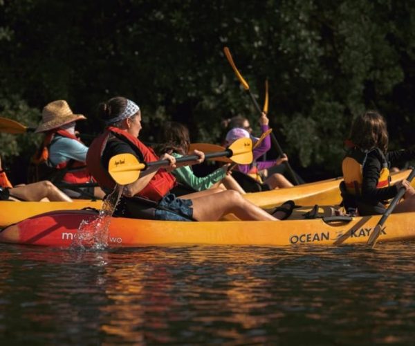 Oleta River State Park: Eco Kayak or Paddleboard Tour – Miami, Florida