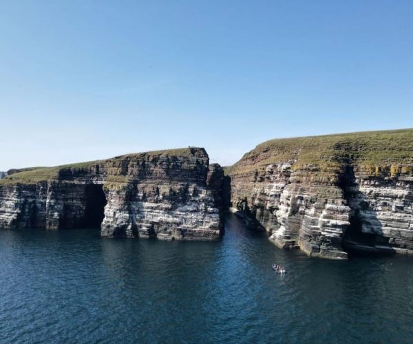 Orkney: Historical and Wildlife Boat Coastal Speedboat Tour – Orkney, United Kingdom