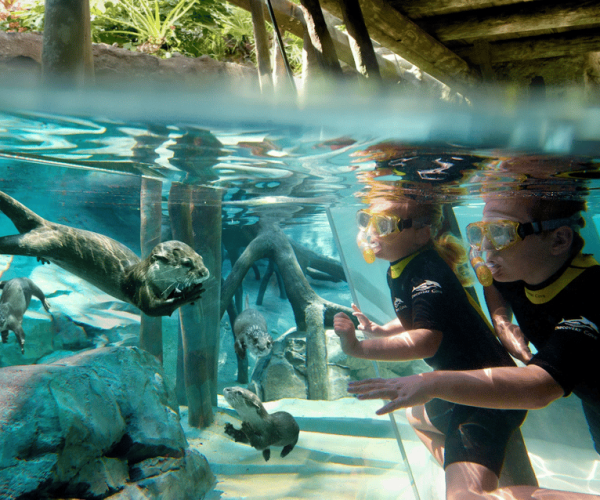 Orlando: Discovery Cove Admission Ticket & Additional Parks – Orlando, Florida