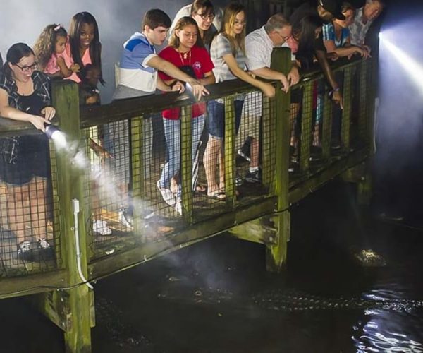 Orlando: Gatorland Flashlight Tour at Night – Orlando, Florida