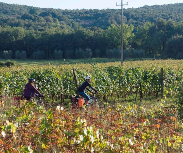 Orvieto & Civita di Bagnoregio: Private E-Bike Tour – Lazio, Italy