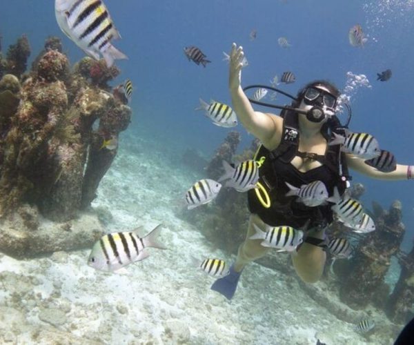 PADI Discover Scuba Diving for divers without certification – Quintana Roo, Mexico