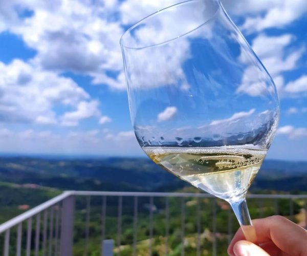 Panoramic Sightseeing Tour with Aperitivo – Piedmont, Italy