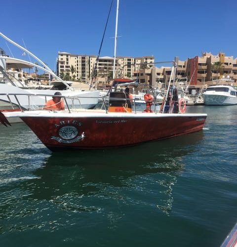 Parasailing in Cabo San Lucas – Cabo San Lucas, Mexico