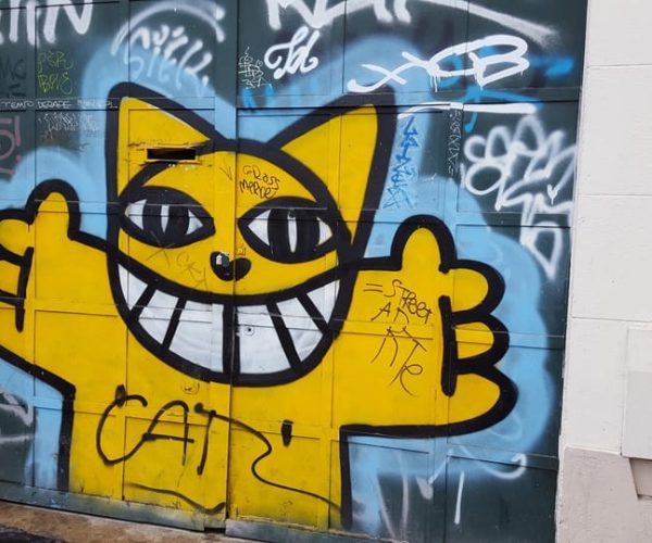 Paris: 2-Hour Street Art & Flea Market Tour – Paris, France