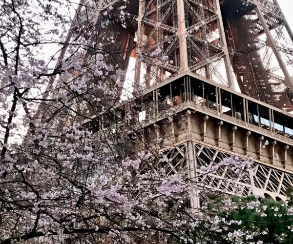 Paris: Eiffel Tower Guided Tour with Summit Access – Paris, France