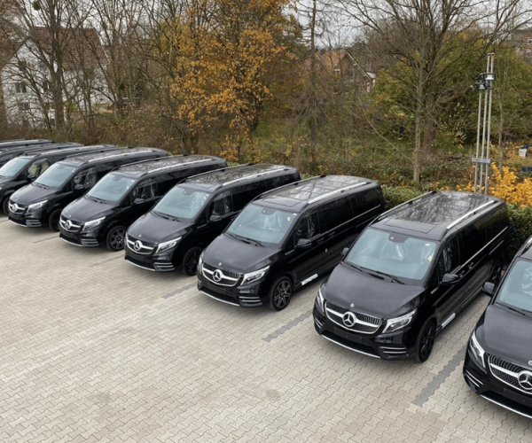 Paris: Private Transfer from CDG Airport to Paris – Paris, France