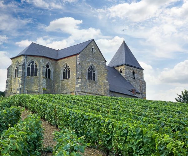 Paris: Two Reims Champagne Vineyards with Tastings and Lunch – Paris, France