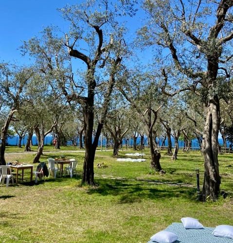 Pic-Nic sea view: Sorrento coast – Sorrento, Italy