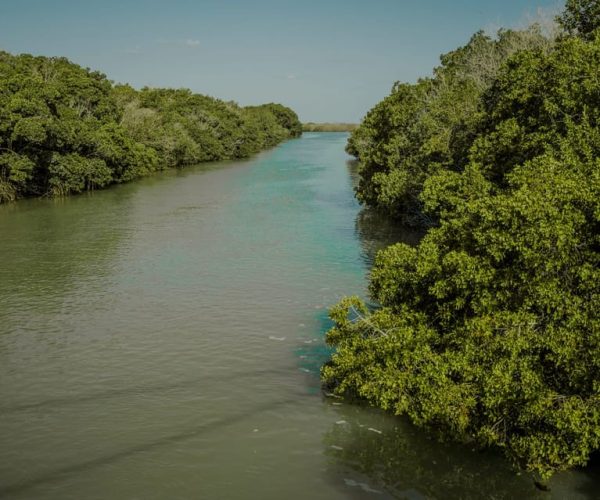 Playa del Carmen/Cancún: Rio Lagartos & Las Coloradas Tour – Playa del Carmen, Mexico