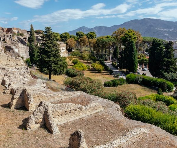 Pompeii: 2-Hour Historical Tour with a Local Guide – Pompei, Italy