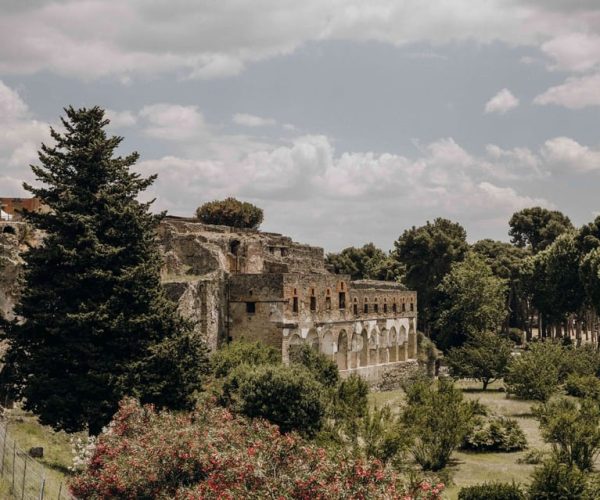 Pompeii: Park Tour with Archeologist – Pompei, Italy