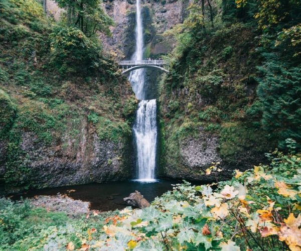 Portland: Columbia River Gorge Waterfalls Afternoon Tour – Multnomah Falls, Oregon