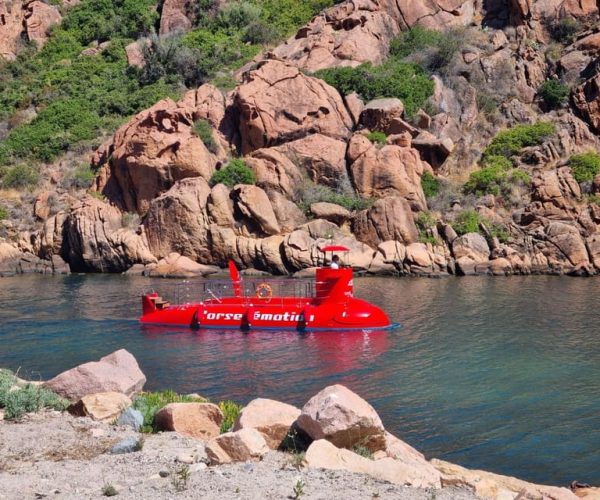 Porto : Discovery of the marine fauna and flora/Bay of Porto – Corsica, France