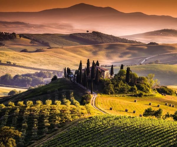 Private Full-Day Brunello Wine Tour of Montalcino – Tuscany, Italy