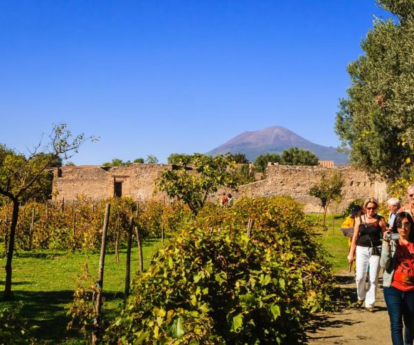 Private Pompeii & Vesuvius Wine Tasting Tour – Pompei, Italy