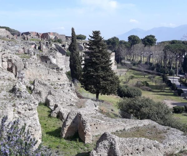 Private Tour Pompei ruins from Naples – Naples, Italy