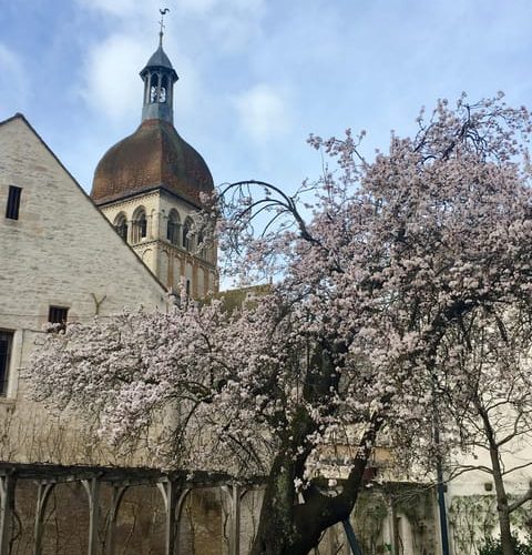 Private city tour – Beaune the essential – 2h – Bourgogne-Franche-Comté, France