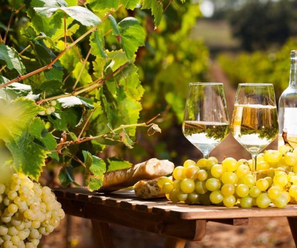 Provencal Market & Wine Tasting Full Day Tour – Provence-Alpes-Côte d’Azur, France