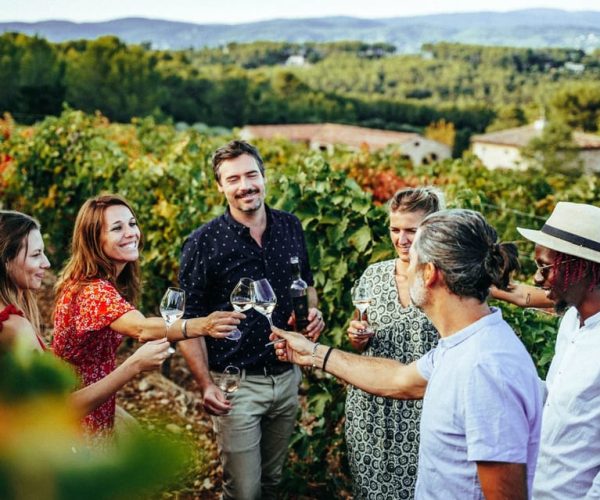 Provence Wine Tour – Small Group Tour from Cannes – Provence-Alpes-Côte d’Azur, France