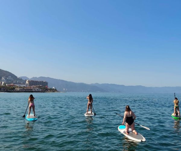 Puerto Vallarta: Guided SUP Board Tour with Digital Photos – Puerto Vallarta, Mexico