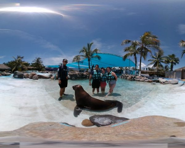 Puerto Vallarta: Sea Lion Discovery – Puerto Vallarta, Mexico