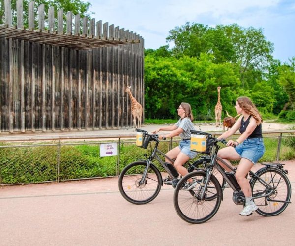 Rent a ebike for 2h – Rhone River, France