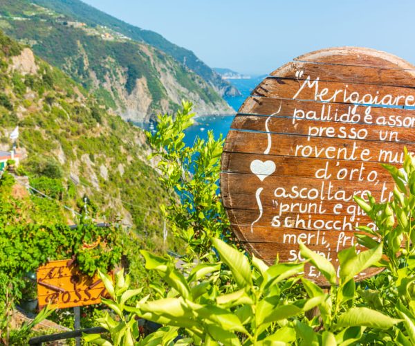 Riomaggiore: Vineyard & Wine Cellar Tour with Wine Tasting – Liguria, Italy