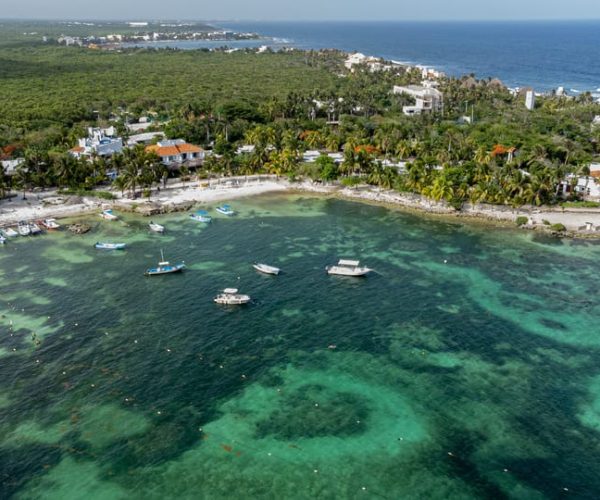 Riviera Maya: Turtles Encounter at Akumal Beach – Quintana Roo, Mexico